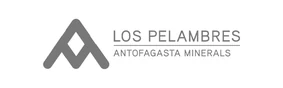 Minera Los Pelambres