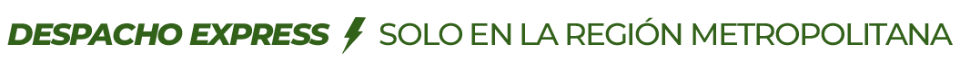 top-despacho-express-2
